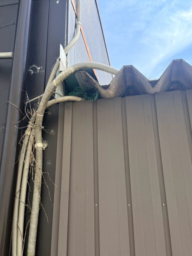 愛知県一宮市ネズミ駆除