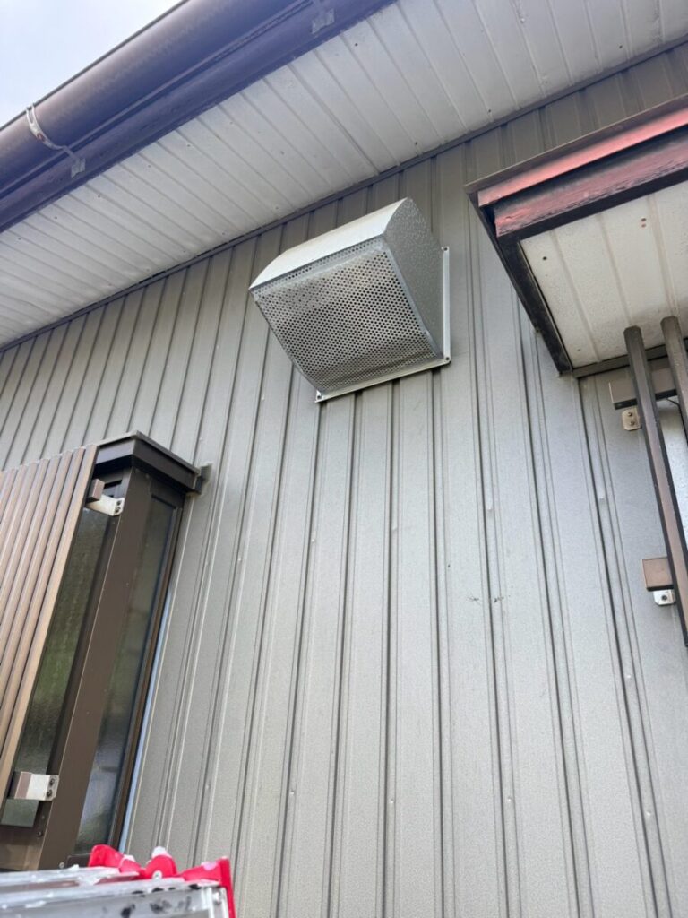 愛知県名古屋市中村区コウモリ駆除