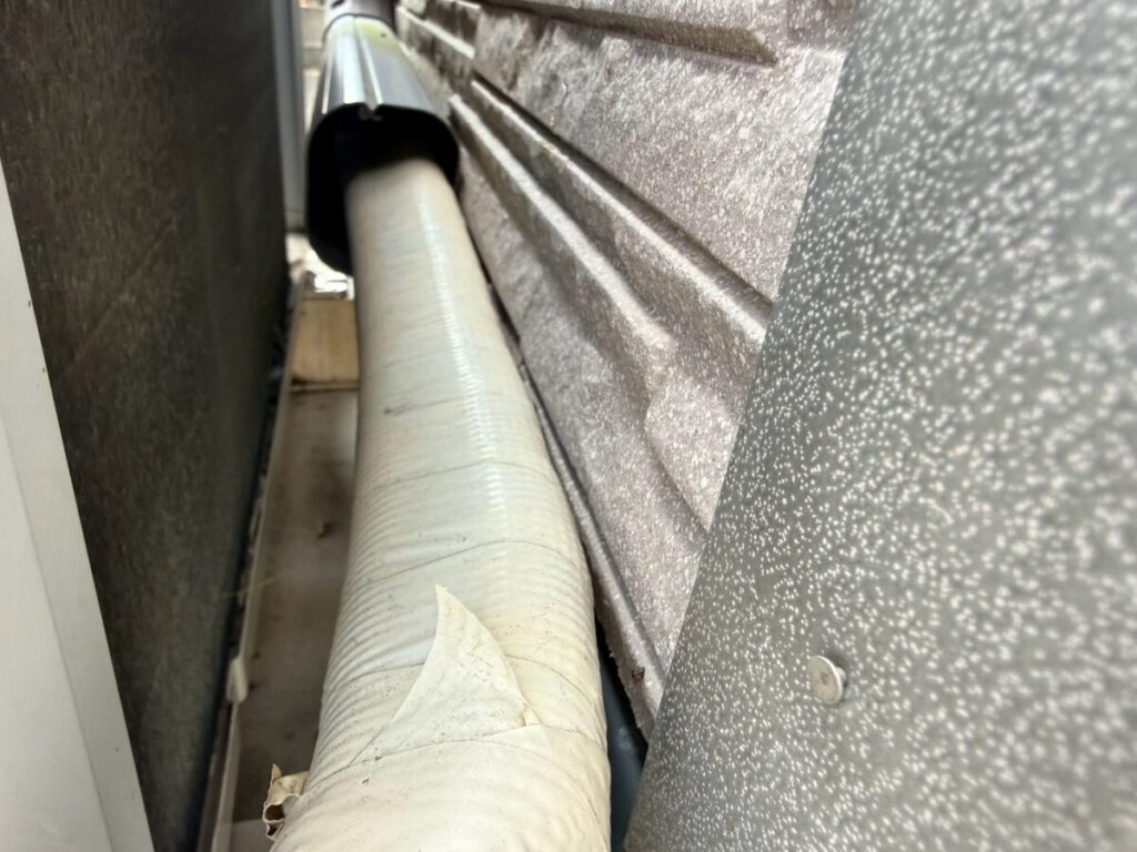 愛知県名古屋市中村区コウモリ駆除
