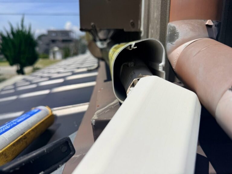 愛知県名古屋市中村区コウモリ駆除