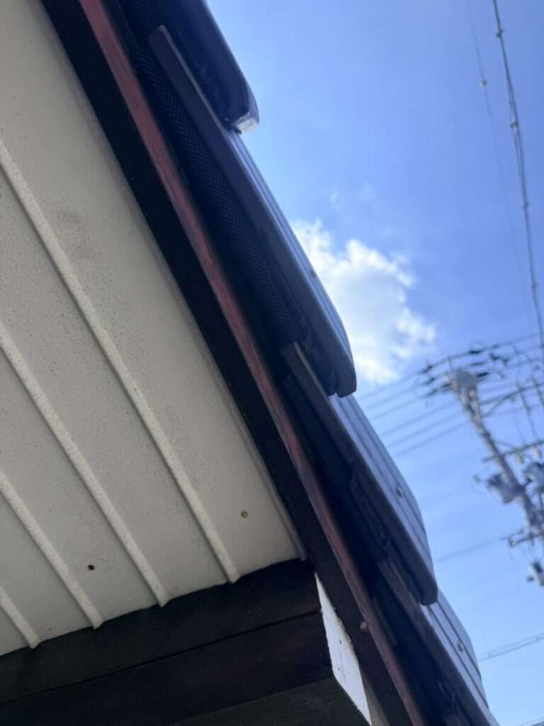 愛知県名古屋市中村区コウモリ駆除