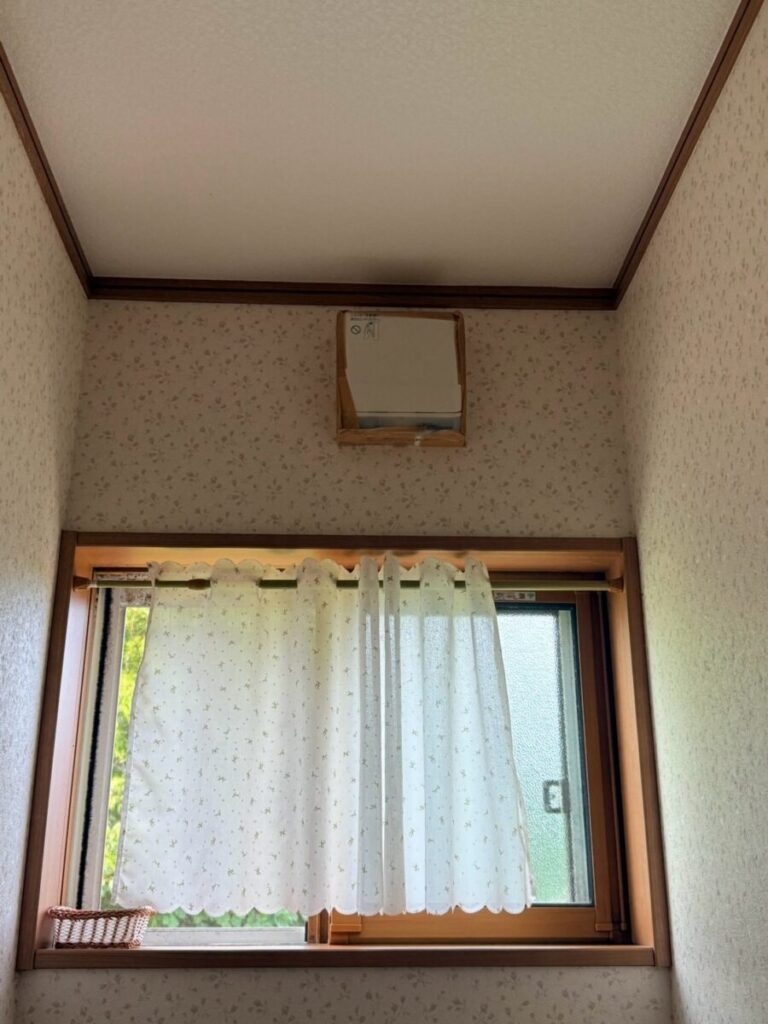 愛知県江南市コウモリ被害 侵入口