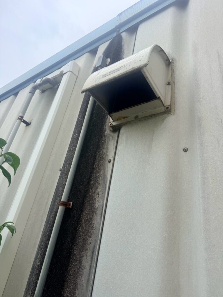 愛知県一宮市ハクビシン駆除