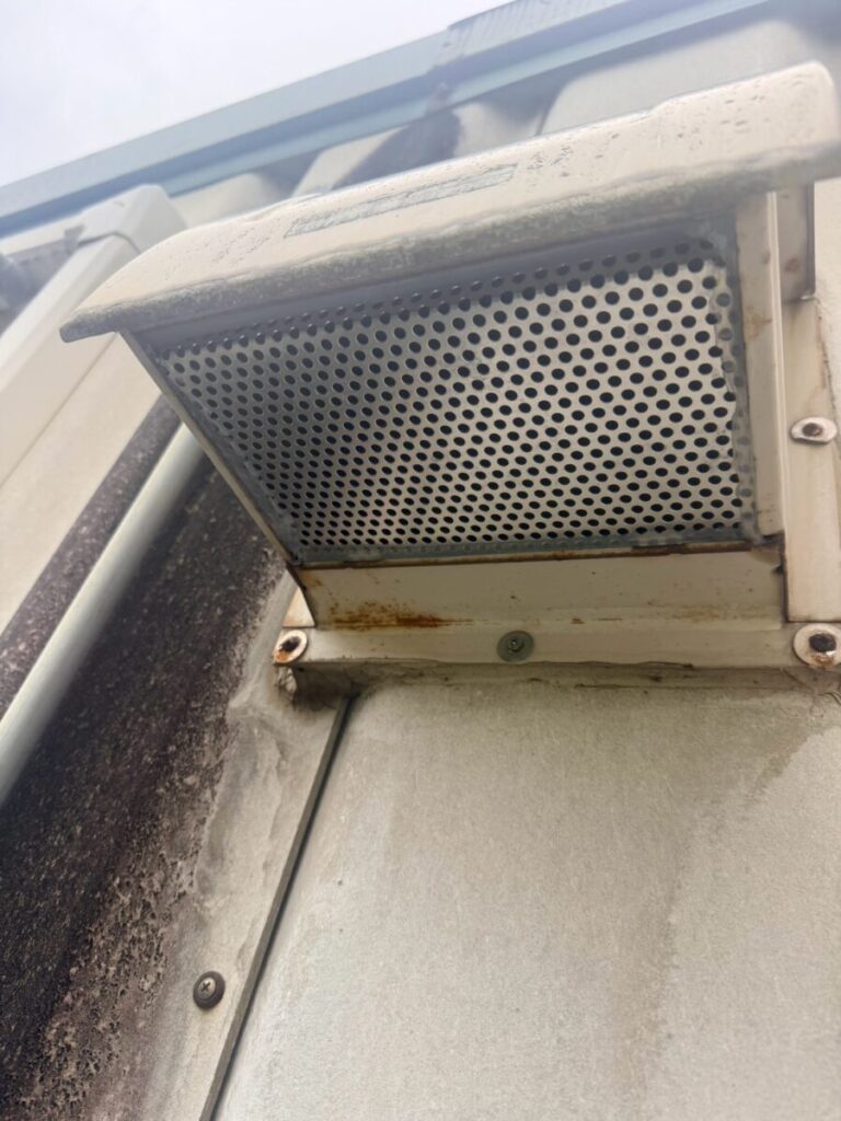 愛知県一宮市ハクビシン駆除