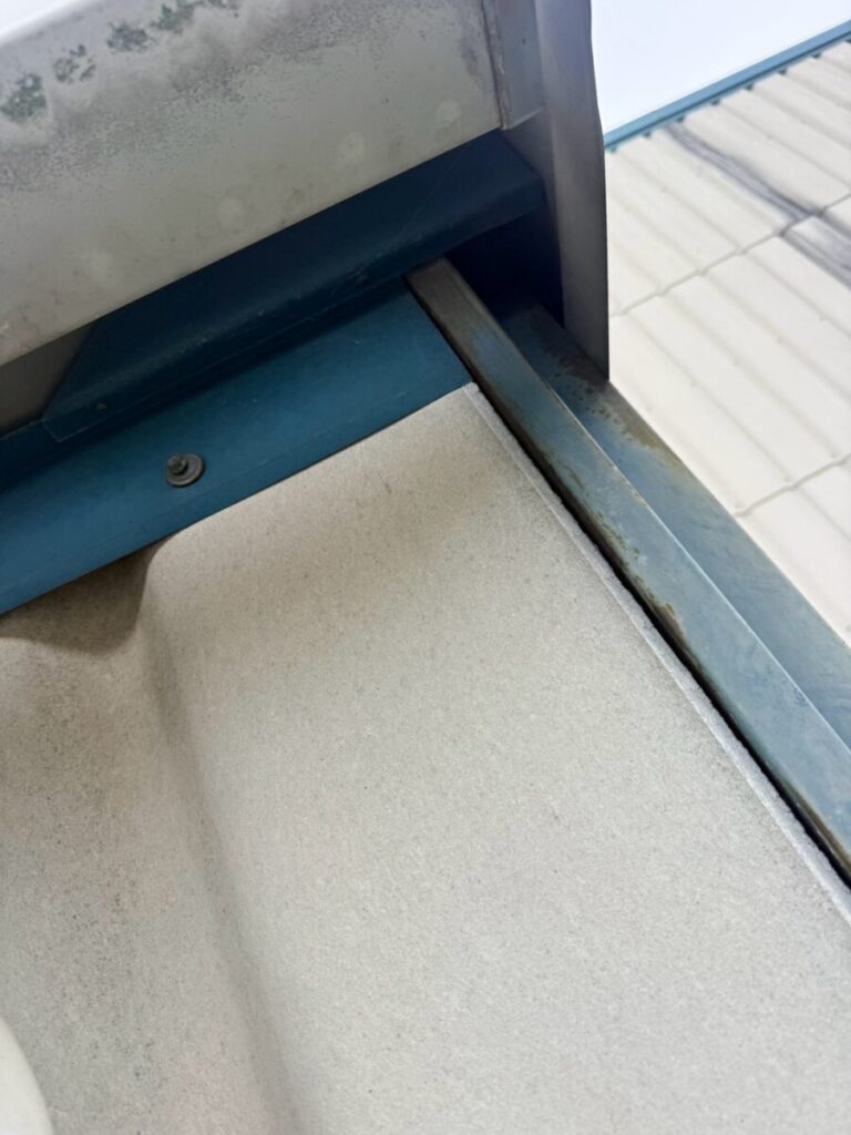 施工前:愛知県一宮市ハクビシン駆除
