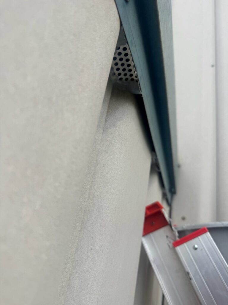 愛知県一宮市ハクビシン駆除