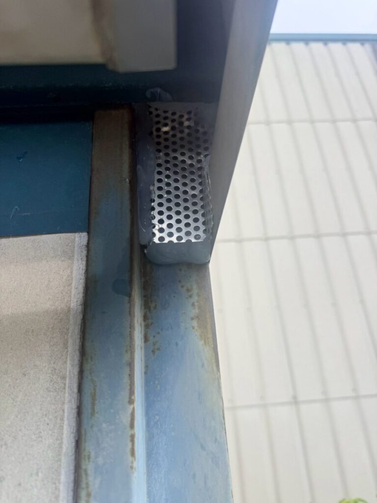 施工後:愛知県一宮市ハクビシン駆除