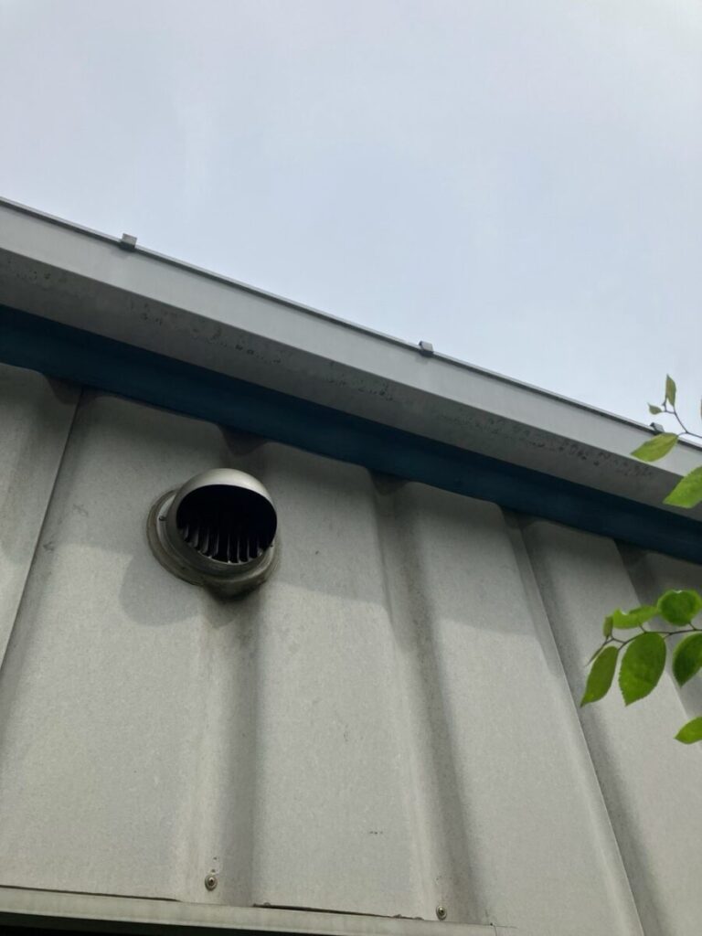 愛知県一宮市ハクビシン駆除