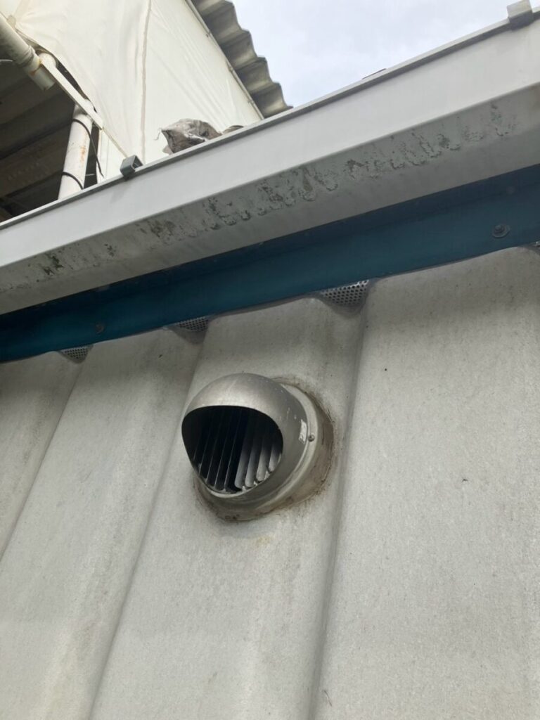 愛知県一宮市ハクビシン駆除