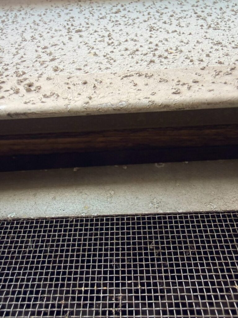 愛知県名古屋市中村区ネズミ駆除