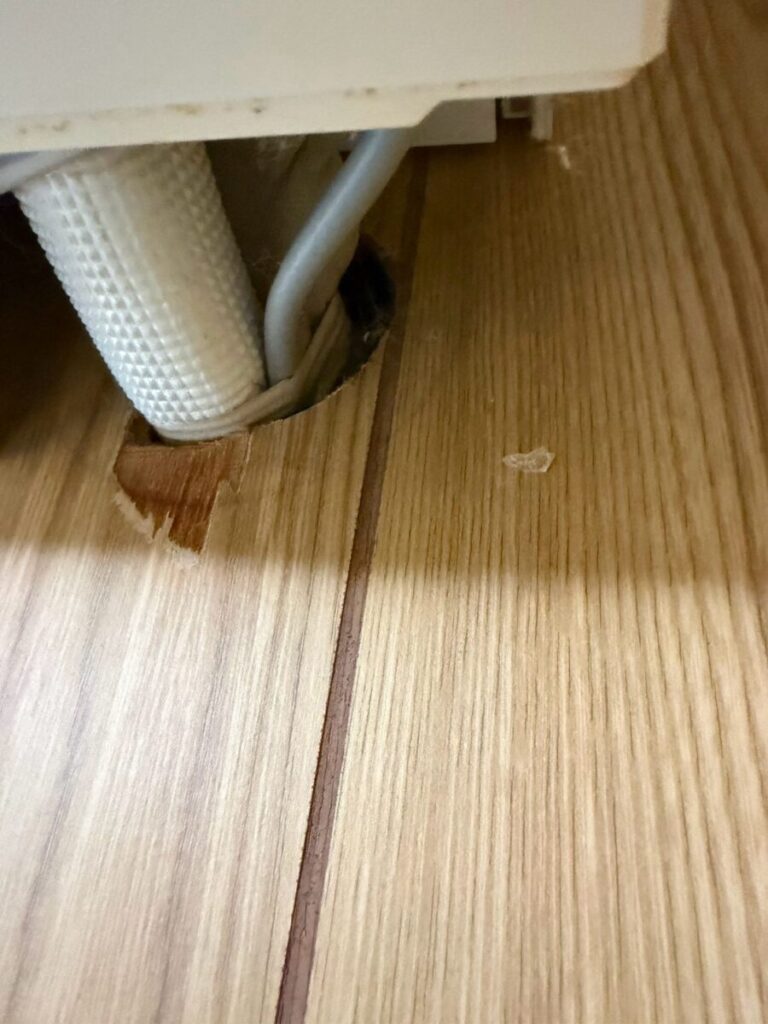 愛知県名古屋市千種区コウモリ駆除