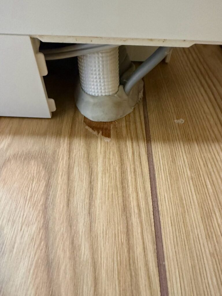 愛知県名古屋市千種区コウモリ駆除