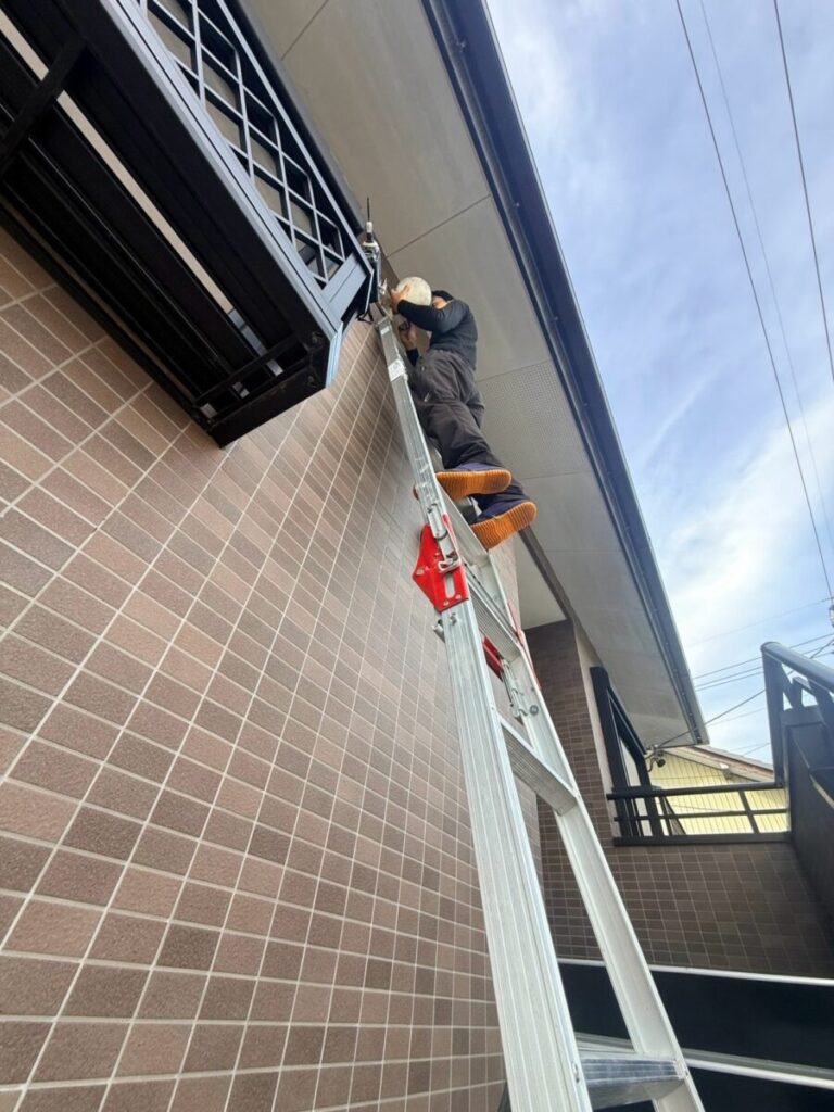 愛知県名古屋市西区コウモリ駆除