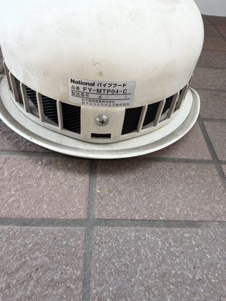愛知県名古屋市西区コウモリ駆除