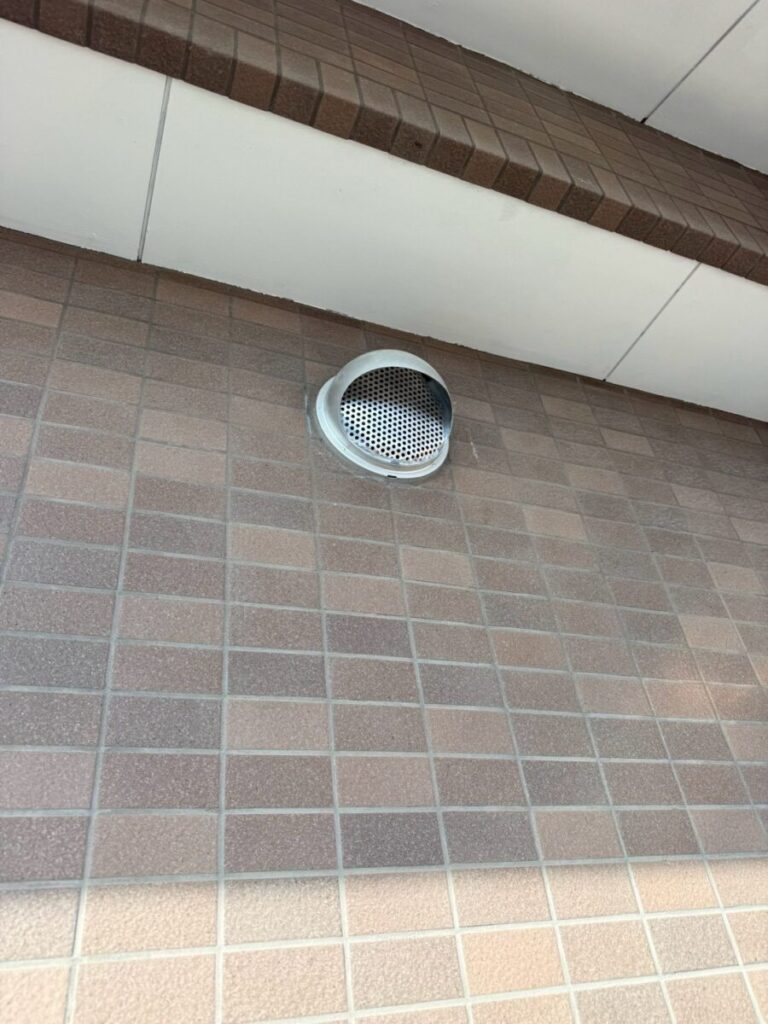 愛知県名古屋市西区コウモリ駆除